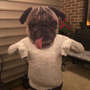 Meet your Posher, Joshua